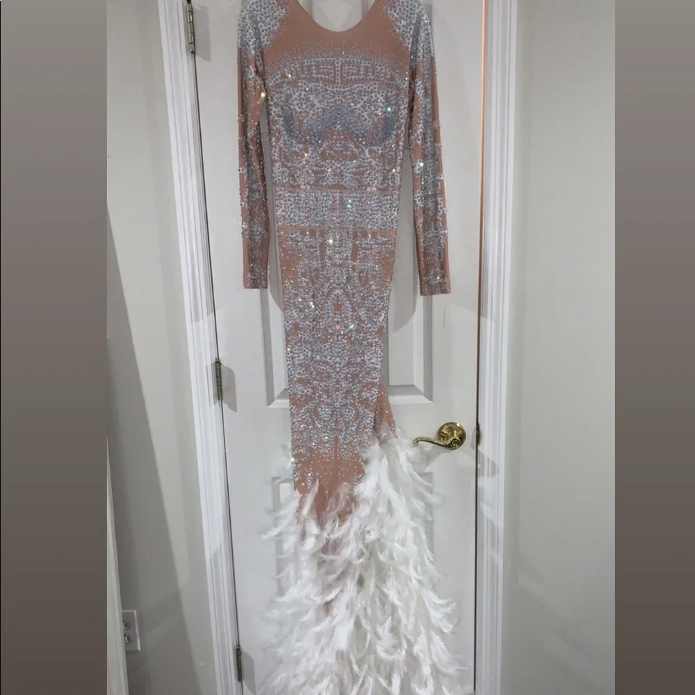 Stunning Sparkly Prom Dress With A White Feathered Train - Picture 7 of 7